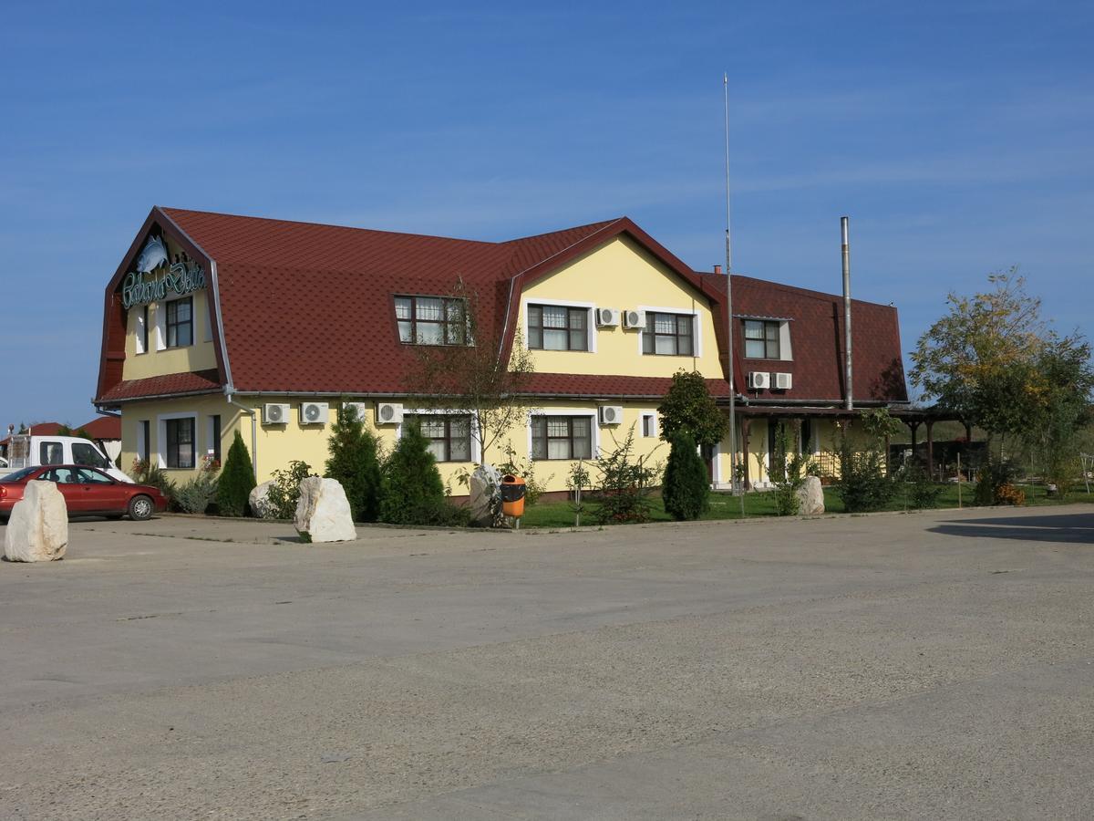 Conacul De Pe Lac Sagu Luaran gambar